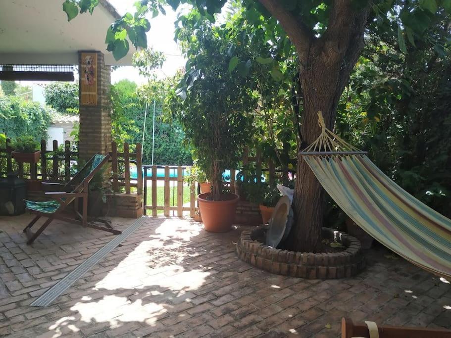 Dormir Entre Limones, Casa De Invitados En Vivienda Familiar Dos Hermanas Ngoại thất bức ảnh
